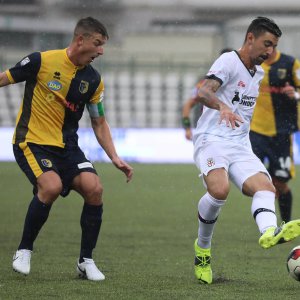 Mattia Vitale (Foto F.C. Pro Vercelli 1892)